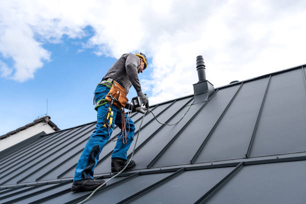 Best Solar Panel Roofing Installation  in Lakeview, GA